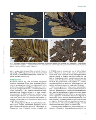 Acaulescent Raleigh A Monograph of the Genus Geranium L. (Geraniaceae) | PDF