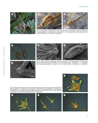 A Monograph of the Genus Geranium L. (Geraniaceae) | PDF