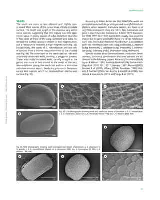A Monograph of the Genus Geranium L. (Geraniaceae) | PDF