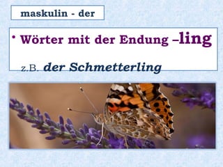 • Wörter mit der Endung –ling
z.B. der Schmetterling
maskulin - der
 