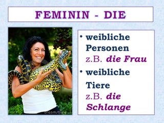 • weibliche
Personen
z.B. die Frau
• weibliche
Tiere
z.B. die
Schlange
 