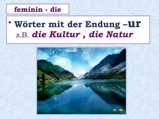 • Wörter mit der Endung –ur
z.B. die Kultur , die Natur
feminin - die
 