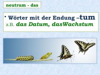 • Wörter mit der Endung –tum
z.B. das Datum, dasWachstum
neutrum - das
 
