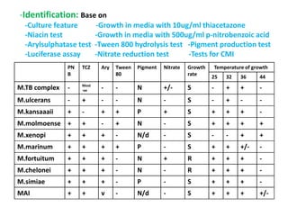 -Identification: Base on
-Culture feature -Growth in media with 10ug/ml thiacetazone
-Niacin test -Growth in media with 500ug/ml p-nitrobenzoic acid
-Arylsulphatase test -Tween 800 hydrolysis test -Pigment production test
-Luciferase assay -Nitrate reduction test -Tests for CMI
PN
B
TCZ Ary Tween
80
Pigment Nitrate Growth
rate
Temperature of growth
25 32 36 44
M.TB complex - Most
-ve - - N +/- S - + + -
M.ulcerans - + - - N - S - + - -
M.kansaaaii + - + + P + S + + + -
Baird barker agar
M.kansaaaii + - + + P + S + + + -
M.molmoense + + - + N - S + + + +
M.xenopi + + + - N/d - S - - + +
M.marinum + + + + P - S + + +/- -
M.fortuitum + + + - N + R + + + -
M.chelonei + + + - N - R + + + -
M.simiae + + + - P - S + + + -
MAI + + v - N/d - S + + + +/-
 