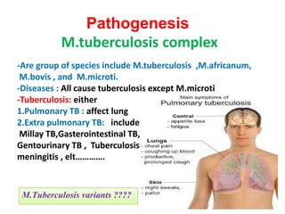 Pathogenesis
M.tuberculosis complex
-Are group of species include M.tuberculosis ,M.africanum,
M.bovis , and M.microti.
-Diseases : All cause tuberculosis except M.microti
-Tuberculosis: either
1.Pulmonary TB : affect lung1.Pulmonary TB : affect lung
2.Extra pulmonary TB: include
Millay TB,Gasterointestinal TB,
Gentourinary TB , Tuberculosis
meningitis , elt………….
M.Tuberculosis variants ????
 