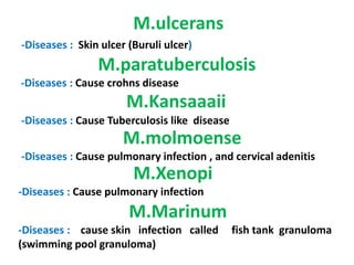-Diseases : Skin ulcer (Buruli ulcer)
M.ulcerans
M.paratuberculosis
-Diseases : Cause crohns disease
M.Kansaaaii
-Diseases : Cause Tuberculosis like disease
M.molmoenseM.molmoense
-Diseases : Cause pulmonary infection , and cervical adenitis
M.Xenopi
-Diseases : Cause pulmonary infection
M.Marinum
-Diseases : cause skin infection called fish tank granuloma
(swimming pool granuloma)
 