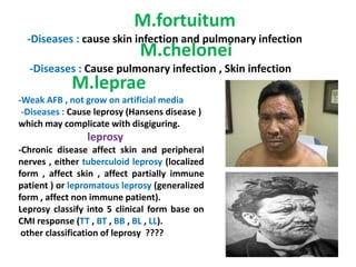 M.fortuitum
-Diseases : cause skin infection and pulmonary infection
M.chelonei
-Diseases : Cause pulmonary infection , Skin infection
M.leprae
-Weak AFB , not grow on artificial media
-Diseases : Cause leprosy (Hansens disease )
which may complicate with disgiguring.
leprosyleprosy
-Chronic disease affect skin and peripheral
nerves , either tuberculoid leprosy (localized
form , affect skin , affect partially immune
patient ) or lepromatous leprosy (generalized
form , affect non immune patient).
Leprosy classify into 5 clinical form base on
CMI response (TT , BT , BB , BL , LL).
other classification of leprosy ????
 