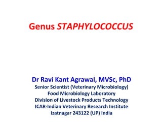 Genus STAPHYLOCOCCUS
Dr Ravi Kant Agrawal, MVSc, PhD
Senior Scientist (Veterinary Microbiology)
Food Microbiology Laboratory
Division of Livestock Products Technology
ICAR-Indian Veterinary Research Institute
Izatnagar 243122 (UP) India
 