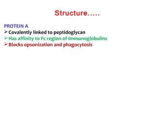 Structure.....
PROTEIN A
Covalently linked to peptidoglycan
Has affinity to Fc region of Immunoglobulins
Blocks opsonization and phagocytosis
 