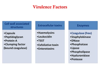 Virulence Factors
 