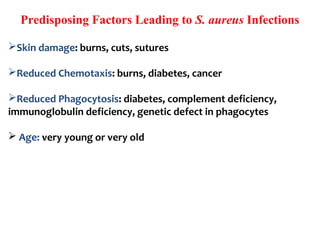 Predisposing Factors Leading to S. aureus Infections
Skin damage: burns, cuts, sutures
Reduced Chemotaxis: burns, diabetes, cancer
Reduced Phagocytosis: diabetes, complement deficiency,
immunoglobulin deficiency, genetic defect in phagocytes
 Age: very young or very old
 