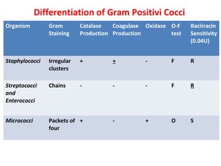 Differentiation of Gram Positivi Cocci
Organism Gram
Staining
Catalase
Production
Coagulase
Production
Oxidase O-F
test
Bacitracin
Sensitivity
(0.04U)
Staphylococci Irregular
clusters
+ + - F R
Streptococci
and
Enterococci
Chains - - - F R
Micrococci Packets of
four
+ - + O S
 