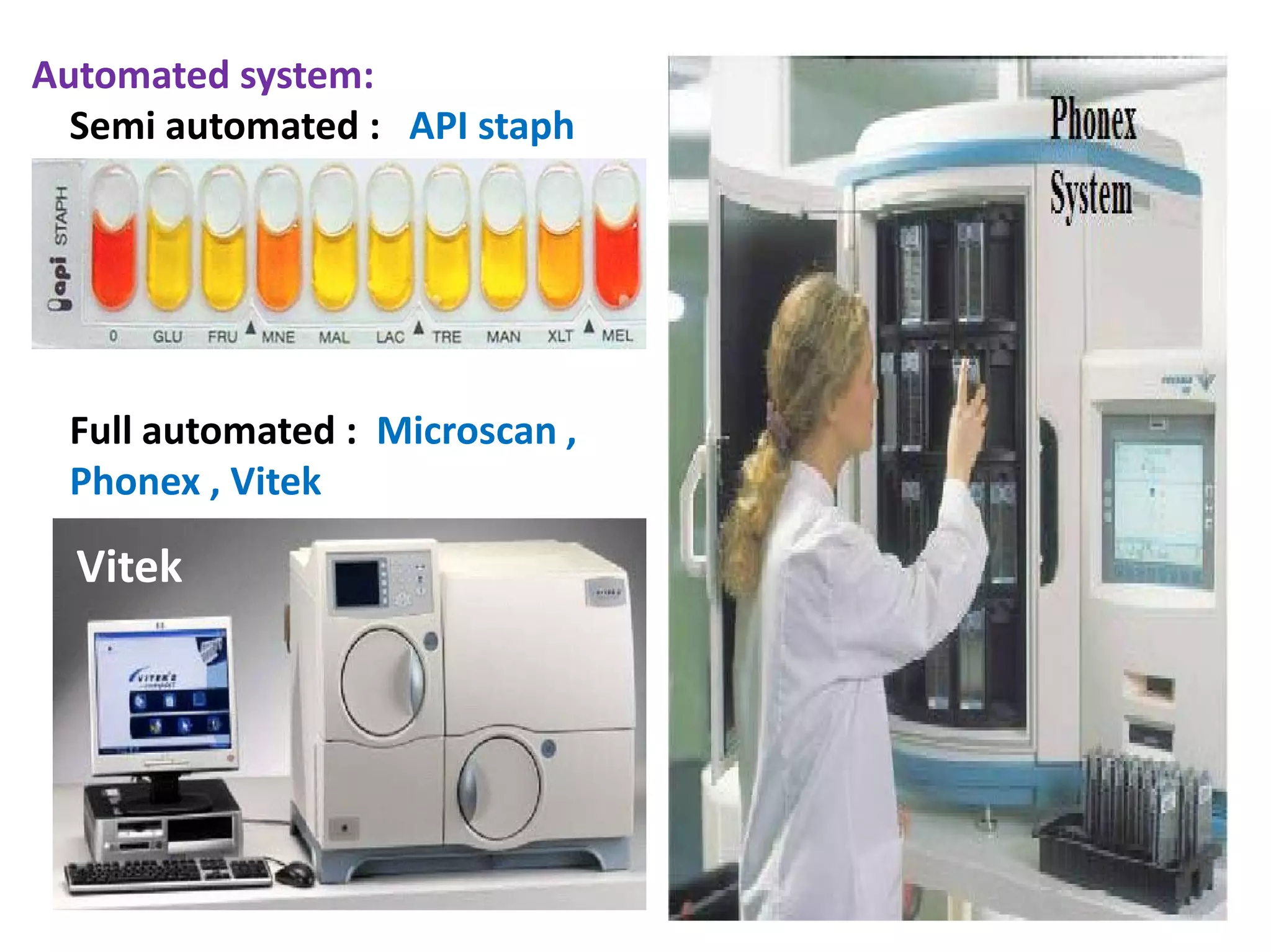 Automated system:
Semi automated : API staph
Full automated : Microscan ,
Phonex , VitekPhonex , Vitek
Vitek
 