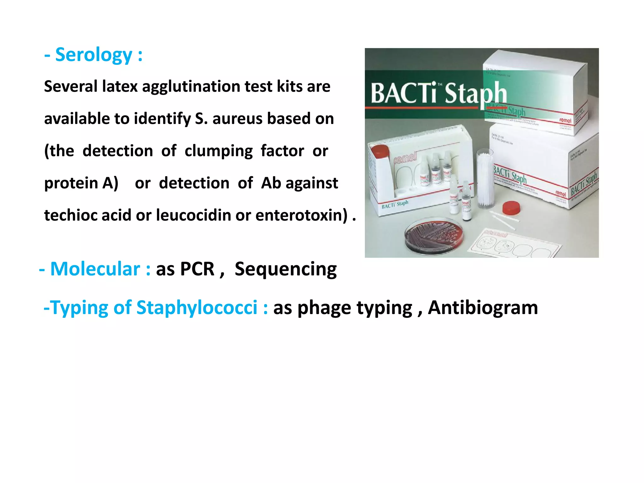 Several latex agglutination test kits are
available to identify S. aureus based on
(the detection of clumping factor or
protein A) or detection of Ab against
techioc acid or leucocidin or enterotoxin) .
- Serology :
- Molecular : as PCR , Sequencing
-Typing of Staphylococci : as phage typing , Antibiogram
 