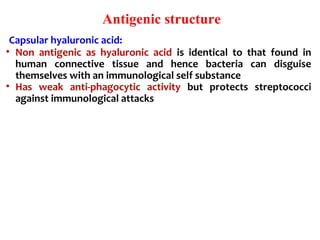 Antigenic structure
 Capsular hyaluronic acid: 
• Non  antigenic  as  hyaluronic  acid  is  identical  to  that  found  in 
human  connective  tissue  and  hence  bacteria  can  disguise 
themselves with an immunological self substance
• Has  weak  anti-phagocytic  activity  but  protects  streptococci 
against immunological attacks
 