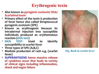 Erythrogenic toxin
• Also known as pyrogenic exotoxin/ Dick/ 
Scarlatinal toxin
• Primary effect of the toxin is production 
of fever hence also called Streptococcal 
pyrogenic exotoxin (SPE)
• Known  as  erythrogenic  because  its 
intradermal  injection  into  susceptible 
individuals  produced  an  erythematous 
reaction (Dick test) 
• DICK  TEST-  Used  to  identify 
susceptibility to scarlet fever
• Three types of SPE (A,B,C)
• Mediate production of rash e.g. (scarlet 
fever)
• SUPERANTIGENS  hence massive release 
of cytokines occur that leads to variety 
of clinical signs including inflammation, 
shock and organ failure
Fig. Rash in scarlet fever
 