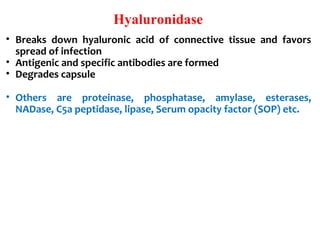 Hyaluronidase
• Breaks down hyaluronic acid of connective tissue and favors
spread of infection
• Antigenic and specific antibodies are formed
• Degrades capsule
• Others are proteinase, phosphatase, amylase, esterases,
NADase, C5a peptidase, lipase, Serum opacity factor (SOP) etc.
 