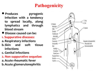 Pathogenicity
Produces pyrogenic
infection with a tendency
to spread locally, along
lymphatics and through
blood stream
Disease caused can be:
1. Suppurative diseases:
a. Respiratory infections
b.Skin and soft tissue
infections
c. Genital infections
2. Non suppurative sequelae:
a. Acute rheumatic fever
b.Acute glomerulonephritis
 