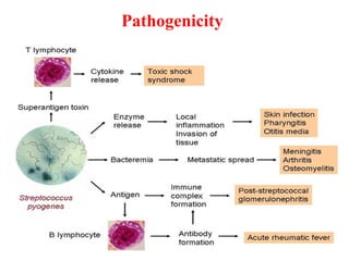 Pathogenicity
 
