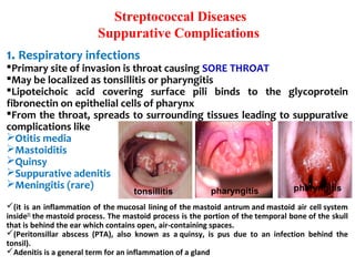 Streptococcal Diseases
Suppurative Complications
1. Respiratory infections
Primary site of invasion is throat causing SORE THROAT
May be localized as tonsillitis or pharyngitis
Lipoteichoic acid covering surface pili binds to the glycoprotein
fibronectin on epithelial cells of pharynx
From the throat, spreads to surrounding tissues leading to suppurative
complications like
Otitis media
Mastoiditis
Quinsy
Suppurative adenitis
Meningitis (rare)
(it is an inflammation of the mucosal lining of the mastoid antrum and mastoid air cell system
inside[1]
the mastoid process. The mastoid process is the portion of the temporal bone of the skull
that is behind the ear which contains open, air-containing spaces.
(Peritonsillar abscess (PTA), also known as a quinsy, is pus due to an infection behind the
tonsil).
Adenitis is a general term for an inflammation of a gland
tonsillitis pharyngitispharyngitis
 