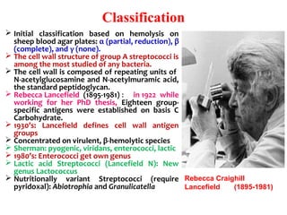 Classification
 Initial  classification  based  on  hemolysis  on 
sheep blood agar plates: α (partial, reduction), β 
(complete), and γ (none).
 The cell wall structure of group A streptococci is 
among the most studied of any bacteria.
 The cell wall is composed of repeating units of  
N-acetylglucosamine and N-acetylmuramic acid, 
the standard peptidoglycan. 
 Rebecca Lancefield  (1895-1981) :     in 1922  while 
working  for  her  PhD  thesis,  Eighteen  group-
specific  antigens  were  established  on  basis  C 
Carbohydrate.
 1930’s:  Lancefield  defines  cell  wall  antigen 
groups
 Concentrated on virulent, β-hemolytic species
 Sherman: pyogenic, viridans, enterococci, lactic
 1980’s: Enterococci get own genus
 Lactic  acid  Streptococci  (Lancefield  N):  New 
genus Lactococcus
 Nutritionally  variant  Streptococci  (require 
pyridoxal): Abiotrophia and Granulicatella
Rebecca Craighill
Lancefield (1895-1981)
 