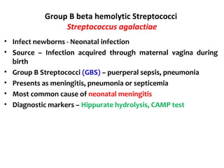 Group B beta hemolytic Streptococci
Streptococcus agalactiae
• Infect newborns - Neonatal infection
• Source – Infection acquired through maternal vagina during
birth
• Group B Streptococci (GBS) – puerperal sepsis, pneumonia
• Presents as meningitis, pneumonia or septicemia
• Most common cause of neonatal meningitis
• Diagnostic markers – Hippurate hydrolysis, CAMP test
 