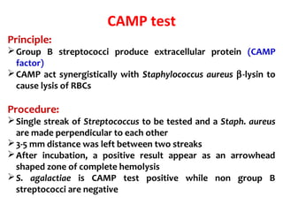 CAMP test
Principle:
Group B streptococci produce extracellular protein (CAMP
factor)
CAMP act synergistically with Staphylococcus aureus β-lysin to
cause lysis of RBCs
Procedure:
Single streak of Streptococcus to be tested and a Staph. aureus
are made perpendicular to each other
3-5 mm distance was left between two streaks
After incubation, a positive result appear as an arrowhead
shaped zone of complete hemolysis
S. agalactiae is CAMP test positive while non group B
streptococci are negative
 