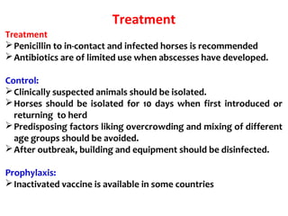 Treatment
Treatment
Penicillin to in-contact and infected horses is recommended
Antibiotics are of limited use when abscesses have developed.
Control:
Clinically suspected animals should be isolated.
Horses should be isolated for 10 days when first introduced or
returning to herd
Predisposing factors liking overcrowding and mixing of different
age groups should be avoided.
After outbreak, building and equipment should be disinfected.
Prophylaxis:
Inactivated vaccine is available in some countries
 