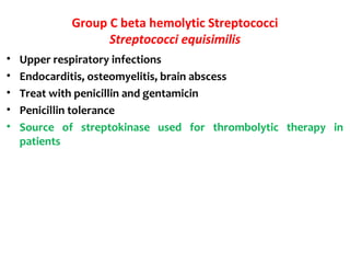 Group C beta hemolytic Streptococci
Streptococci equisimilis
• Upper respiratory infections
• Endocarditis, osteomyelitis, brain abscess
• Treat with penicillin and gentamicin
• Penicillin tolerance
• Source of streptokinase used for thrombolytic therapy in
patients
 