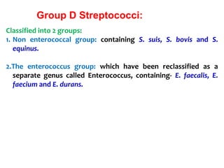Classified into 2 groups:
1. Non enterococcal group: containing S. suis, S. bovis and S.
equinus.
2.The enterococcus group: which have been reclassified as a
separate genus called Enterococcus, containing- E. faecalis, E.
faecium and E. durans.
Group D Streptococci:
 