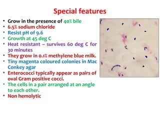 Special features
• Grow in the presence of 40% bile
• 6.5% sodium chloride
• Resist pH of 9.6
• Growth at 45 deg C
• Heat resistant – survives 60 deg C for
30 minutes
• They grow in 0.1% methylene blue milk.
• Tiny magenta coloured colonies in Mac
Conkey agar
• Enterococci typically appear as pairs of
oval Gram positive cocci.
• The cells in a pair arranged at an angle
to each other.
• Non hemolytic
 