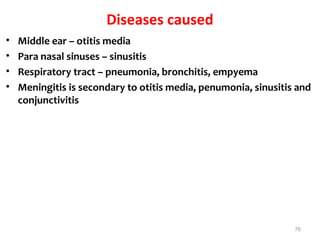 76
Diseases caused
• Middle ear – otitis media
• Para nasal sinuses – sinusitis
• Respiratory tract – pneumonia, bronchitis, empyema
• Meningitis is secondary to otitis media, penumonia, sinusitis and
conjunctivitis
 