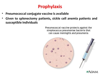 Prophylaxis
• Pneumococcal conjugate vaccine is available
• Given to splenectomy patients, sickle cell anemia patients and
susceptible individuals
 
