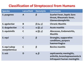 Classification of Streptococci from Humans
Species Lancefield Hemolytic Comments
S. pyogenes A β Scarlet Fever, Septic Sore
throat, Rheumatic fever,
Glomerulonephritis
S. agalactiae B β (α, γ) Chronic Mastitis
S. dysgalactiae C α (β, γ) Acute mastitis
S. equisimilis C α (β, γ) Abscesses, Endometritis,
Mastitis
S. equi C β Strangles, suppurative
conditions, purpura
haemorrhagica
S. equi subsp
zooepidemicus
C β Bovine mastitis
S. suis D α, β septicaemia; meningitis,
arthritis, bronchopneumonia &
infrequent human meningitis
 