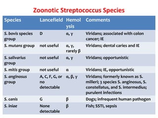 Zoonotic Streptococcus Species
Species Lancefield Hemol
ysis
Comments
S. bovis species
group
D α, γ Viridans; associated with colon
cancer; IE
S. mutans group not useful α, γ,
rarely β
Viridans; dental caries and IE
S. salivarius
group
not useful α, γ Viridans; opportunistic
S. mitis group not useful α Viridans; IE, opportunistic
S. anginosus
group
A, C, F, G, or
no
detectable
α, β, γ Viridans; formerly known as S.
milleri; 3 species S. anginosus, S.
constellatus, and S. intermedius;
purulent infections
S. canis G β Dogs; infrequent human pathogen
S. iniae None
detectable
β Fish; SSTI, sepsis
 
