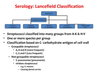 Serology: Lancefield Classification
• Streptococci classified into many groups from A-K & H-V
• One or more species per group
• Classification based on C- carbohydrate antigen of cell wall
– Groupable streptococci
• A, B and D (more frequent)
• C, G and F (Less frequent)
– Non-groupable streptococci
• S. pneumoniae (pneumonia)
• viridans streptococci
– e.g. S. mutans
– Causing dental carries
Streptococci
Group A
S. pyogenes
Group B
S. agalactiae
Group C
S. equisimitis
Group D
Enterococcus
Lanciefield classification
Other groups
(E-U)
 