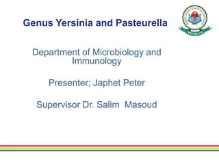 Genus Yersinia and Pasteurella
Department of Microbiology and
Immunology
Presenter; Japhet Peter
Supervisor Dr. Salim Masoud
 