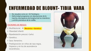 ENFERMEDAD DE BLOUNT- TIBIA VARA
FACRORES DE RIESGO:
• Multifactorial. 
• Obesidad infantil.
• Bipedestación precoz(<1año)
• Genético.
• Sexo: femenino.
• Predisposición en niños de raza negra,
hispanos y en los de ascendencia
escandinava.
Mecánica - Genético
• No resuelve como en GV fisiológico.
• Deformidad progresiva con desviaciones de la
marcha, discrepancia de longitud de los miembros
y artritis prematura de la rodilla.
 