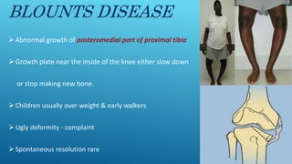 BLOUNTS DISEASE
Abnormal growth of posteromedial part of proximal tibia
Growth plate near the inside of the knee either slow down
or stop making new bone.
Children usually over weight & early walkers
Ugly deformity - complaint
Spontaneous resolution rare
 