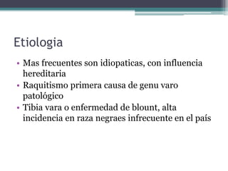 Etiologia
• Mas frecuentes son idiopaticas, con influencia
hereditaria
• Raquitismo primera causa de genu varo
patológico
• Tibia vara o enfermedad de blount, alta
incidencia en raza negraes infrecuente en el país
 