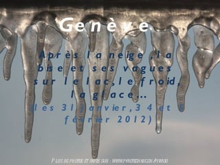 Genève glacée 2012