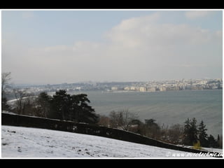 Genève glacée 2012