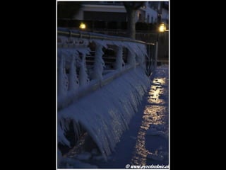 Genève glacée 2012