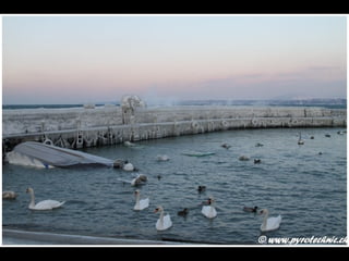 Genève glacée 2012