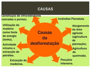 CAUSAS Construção de infra-estruturas (estradas e pontes).Incêndios Florestais.Utilização da madeira como fonte de energia (lenha).Alargamento da área agrícola (agricultura de plantação).Causas dadesflorestaçãoActividade mineira e extracção de petróleo.Agricultura de queimada.Pecuária Intensiva.Extracção de madeiras.