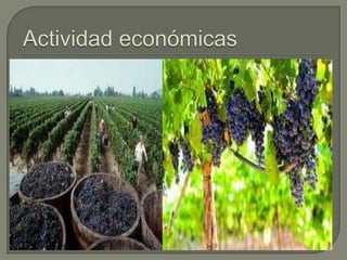 Trabajo Practico de Geografia