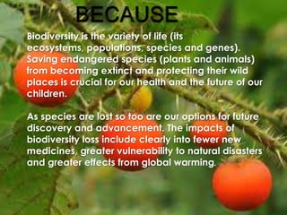 Biodiversity is the variety of life (its
ecosystems, populations, species and genes).
Saving endangered species (plants and animals)
from becoming extinct and protecting their wild
places is crucial for our health and the future of our
children.
As species are lost so too are our options for future
discovery and advancement. The impacts of
biodiversity loss include clearly into fewer new
medicines, greater vulnerability to natural disasters
and greater effects from global warming.

 