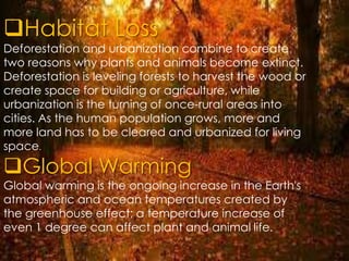 Habitat Loss
Deforestation and urbanization combine to create
two reasons why plants and animals become extinct.
Deforestation is leveling forests to harvest the wood or
create space for building or agriculture, while
urbanization is the turning of once-rural areas into
cities. As the human population grows, more and
more land has to be cleared and urbanized for living
space.

Global Warming

Global warming is the ongoing increase in the Earth's
atmospheric and ocean temperatures created by
the greenhouse effect; a temperature increase of
even 1 degree can affect plant and animal life.

 