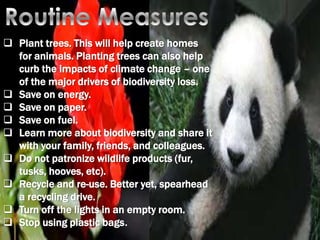  Plant trees. This will help create homes
for animals. Planting trees can also help
curb the impacts of climate change – one
of the major drivers of biodiversity loss.
 Save on energy.
 Save on paper.
 Save on fuel.
 Learn more about biodiversity and share it
with your family, friends, and colleagues.
 Do not patronize wildlife products (fur,
tusks, hooves, etc).
 Recycle and re-use. Better yet, spearhead
a recycling drive.
 Turn off the lights in an empty room.
 Stop using plastic bags.

 