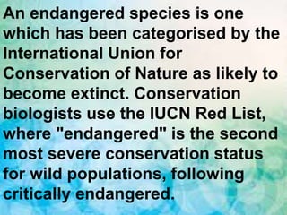 An endangered species is one
which has been categorised by the
International Union for
Conservation of Nature as likely to
become extinct. Conservation
biologists use the IUCN Red List,
where "endangered" is the second
most severe conservation status
for wild populations, following
critically endangered.
 
